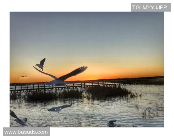 滑板人生的深度对话：赵强与梦想的追逐与坚持